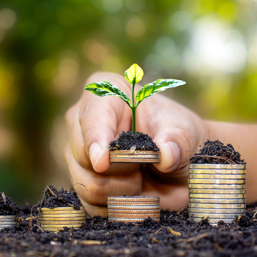 cointinyplant