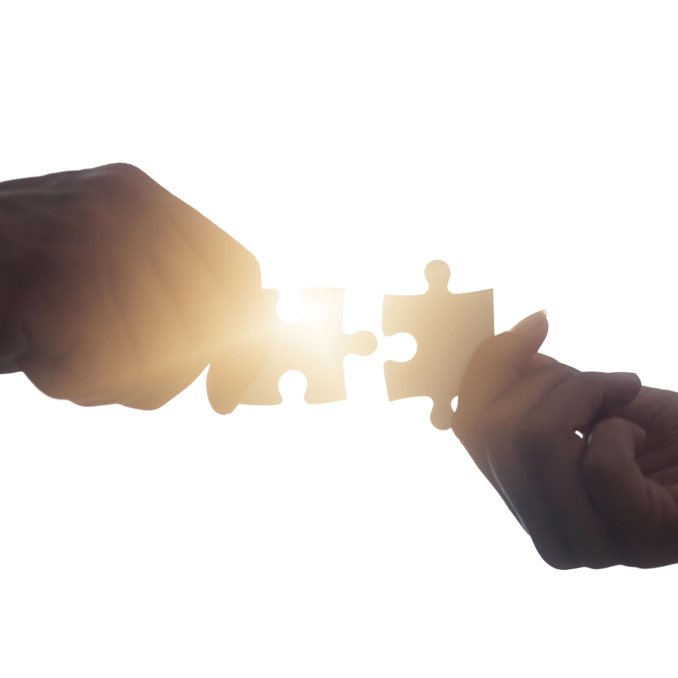 Collaboration