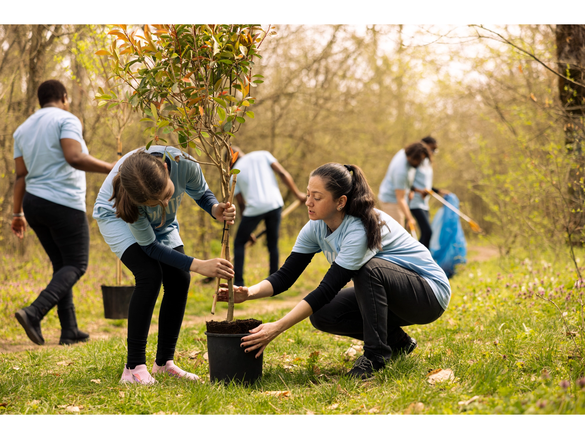 Engage in Community Activities