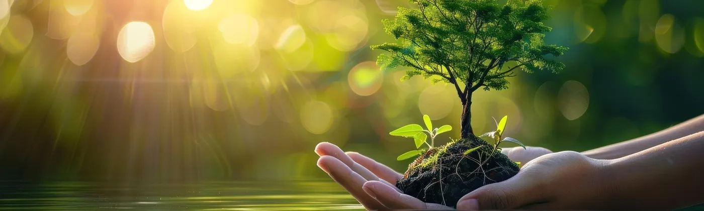environmental