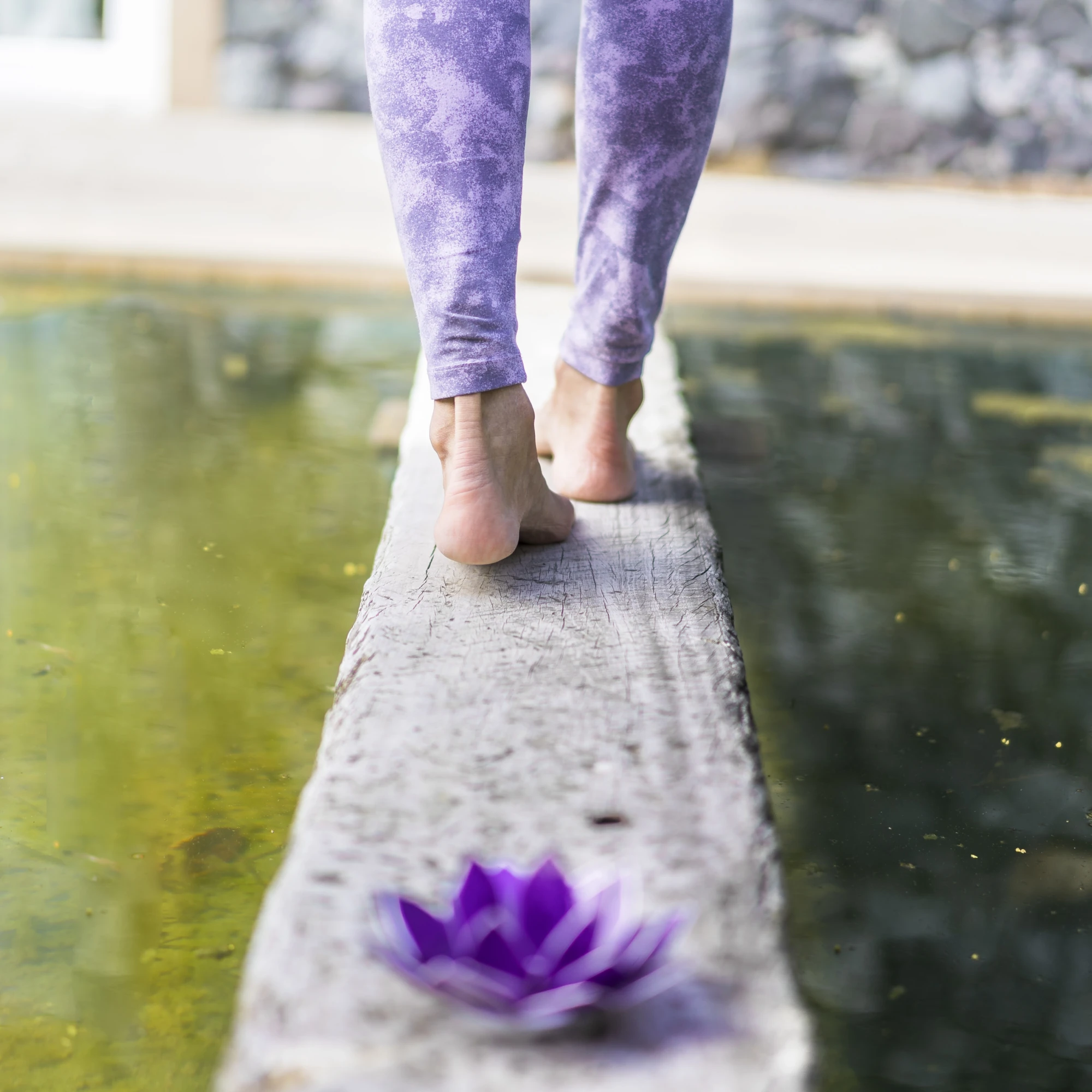 Walking & Movement Meditation