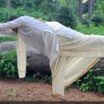 DhirajYoga