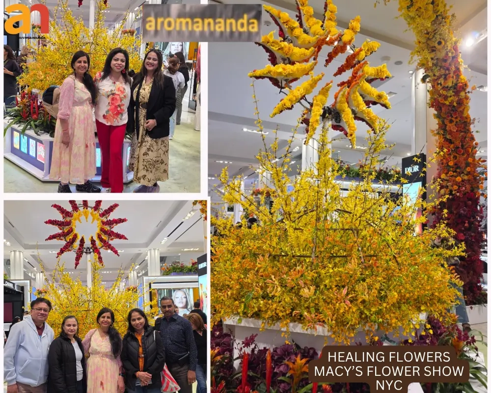 macy flower show